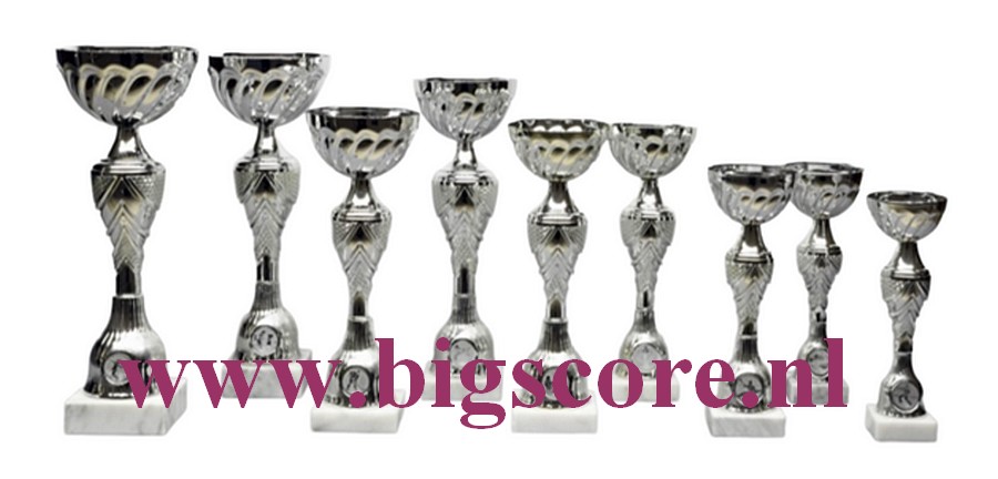 Z 618 Beker Zilver 9 Delig